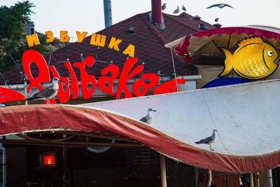 Прикрепленное изображение: Zk-5_Oy-_Yo.jpg